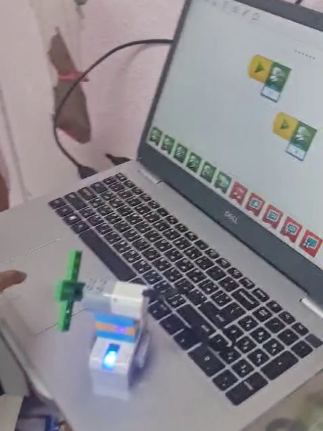 منطقة المواهب | Talent Zone